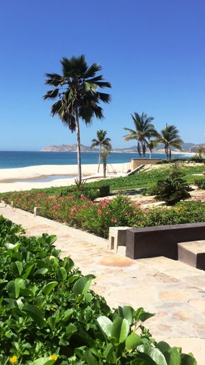 LAS RESIDENCIAS GOLF AND BEACH CLUB - Prices & Specialty Hotel Reviews (Los  Cabos/San Jose del Cabo)