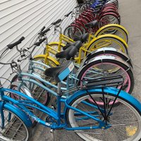 rybas bicycle rentals