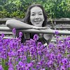 Diana N