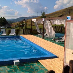 Pool in the middle of the garden