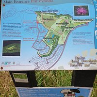 Henllys Local Nature Reserve