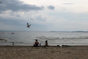 Viaggiatori