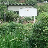 橘逸勢の墓付近