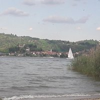 Vista