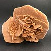 Rose des sables
