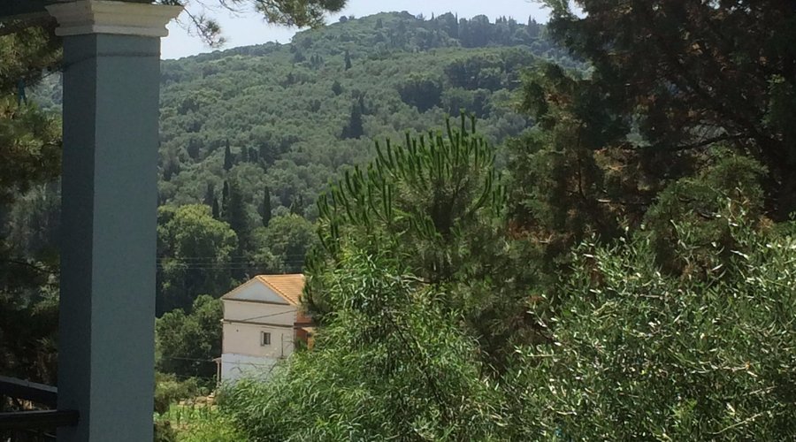 The view from our balcony. Η θέα από το μπαλκόνι μας.