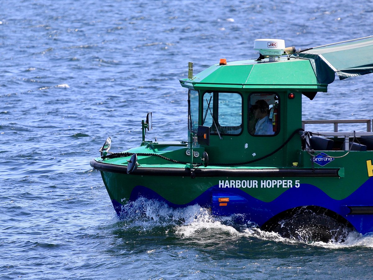 harbour hopper tours halifax nova scotia