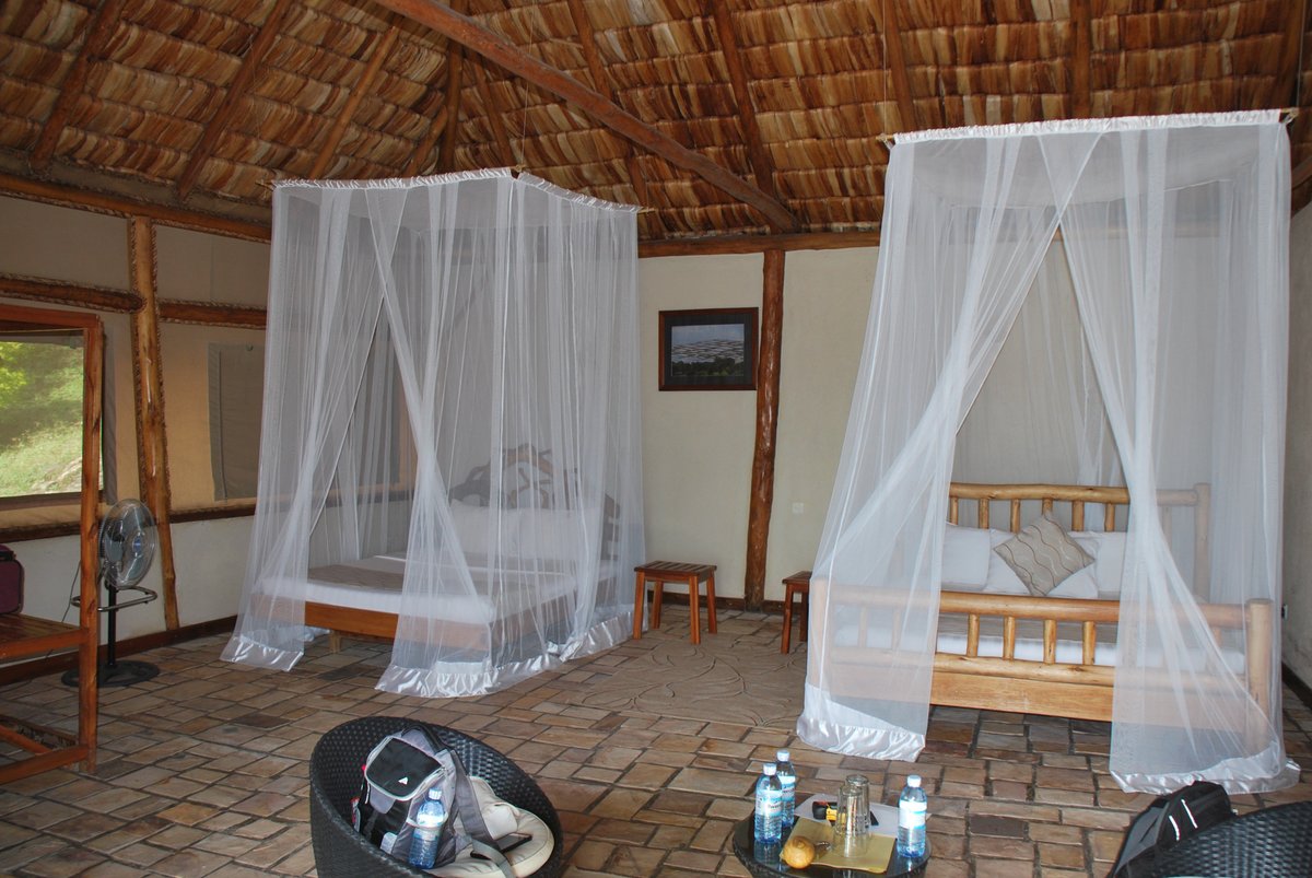 enganzi game lodge