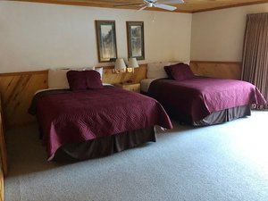 Room & Suite