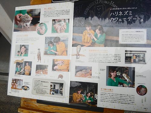 倉敷市のアクティビティ ゲームセンター ベスト10 トリップアドバイザー 倉敷市のアクティビティ ゲームセンター ベスト10 トリップアドバイザー