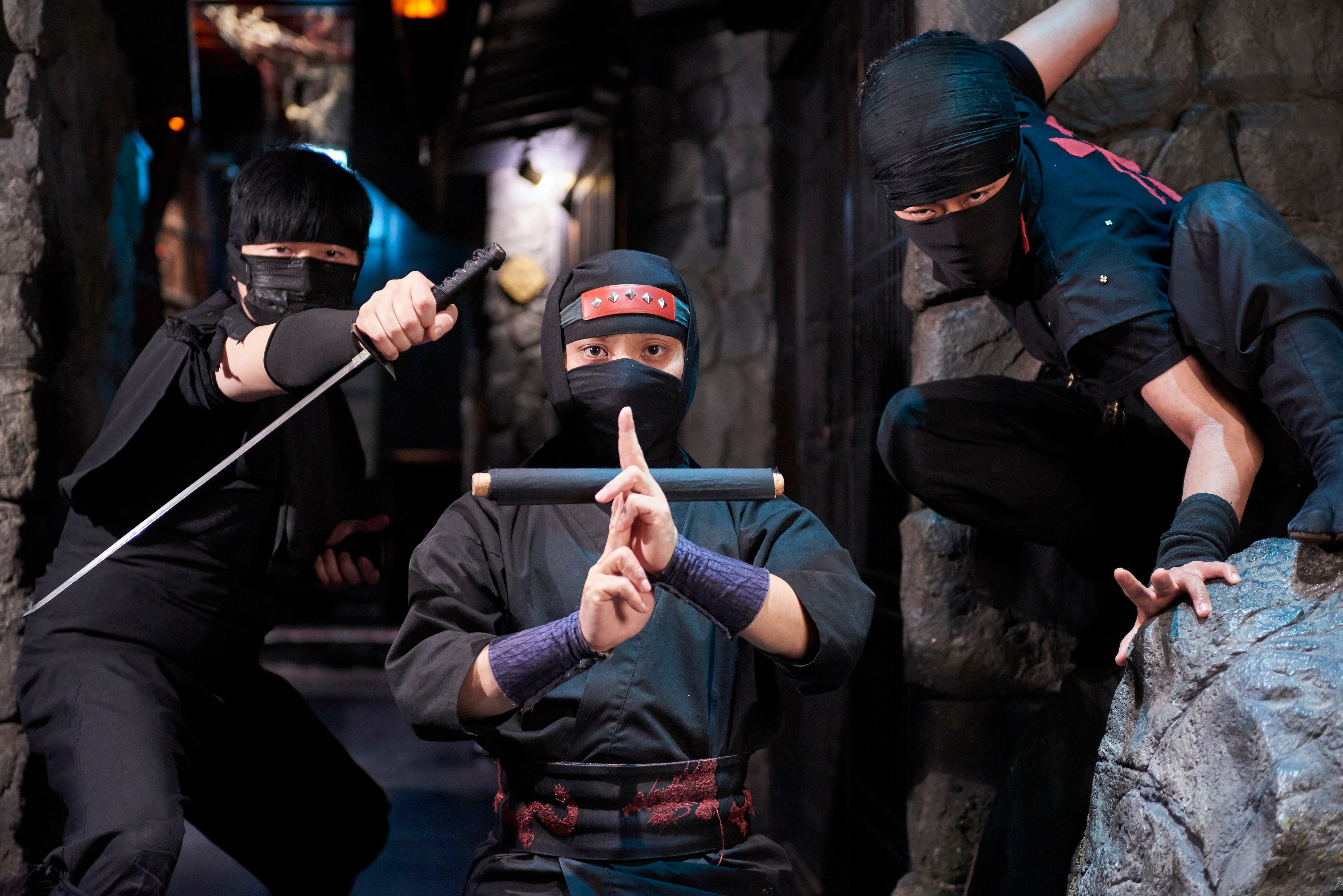 Ninja restaurant discount