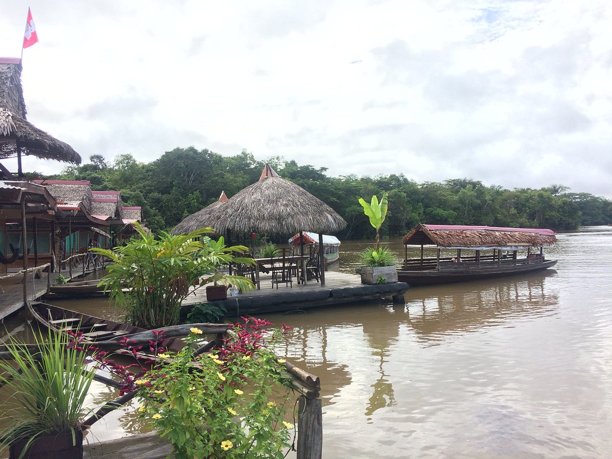 Amazon Oasis Lodge Río Momon Perú Opiniones Y Comentarios Hotel Especializado Tripadvisor