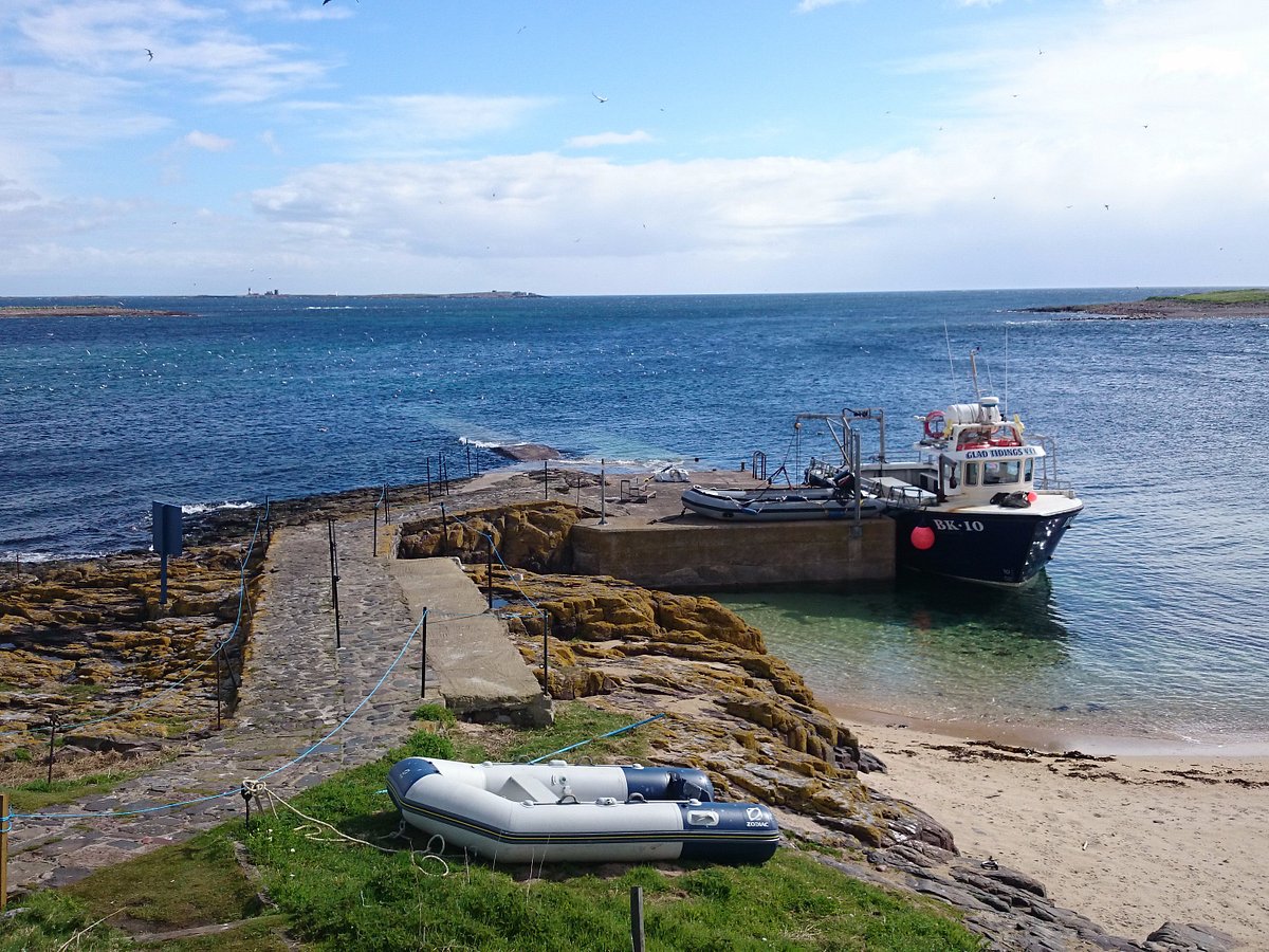 seahouses northumberland boat trips