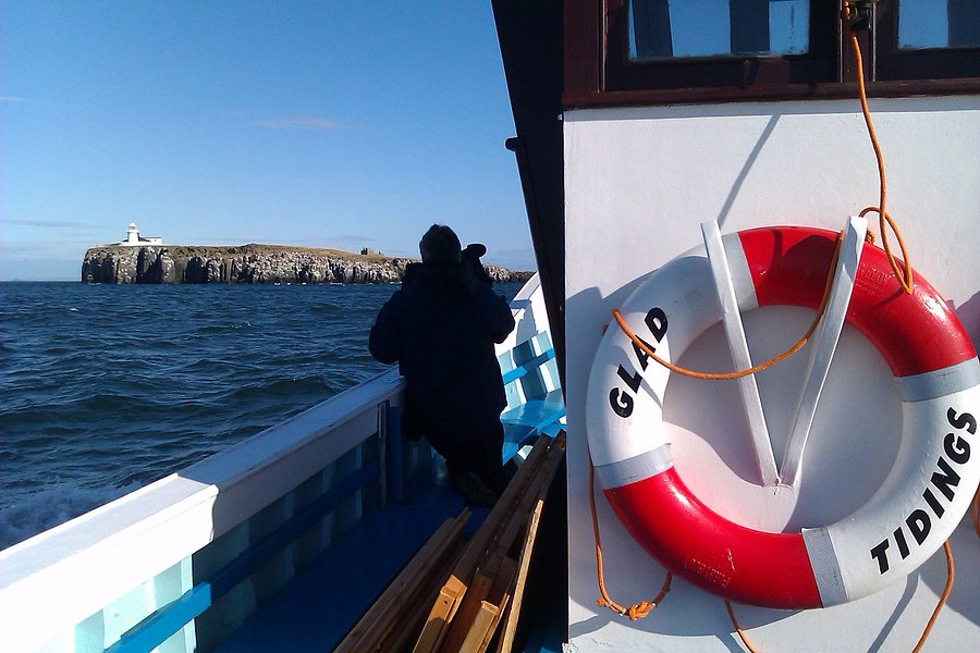 boat trips at seahouses