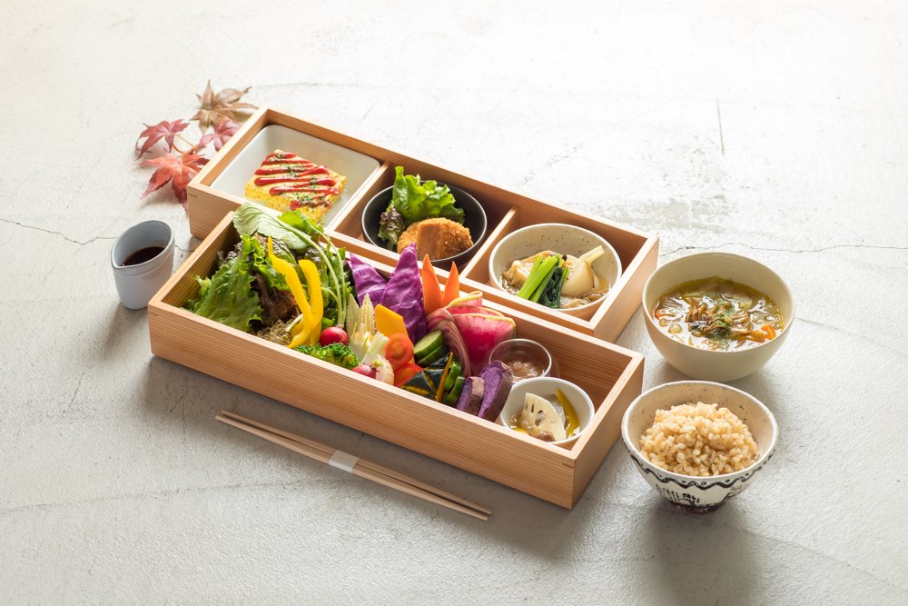 Best bento box discount