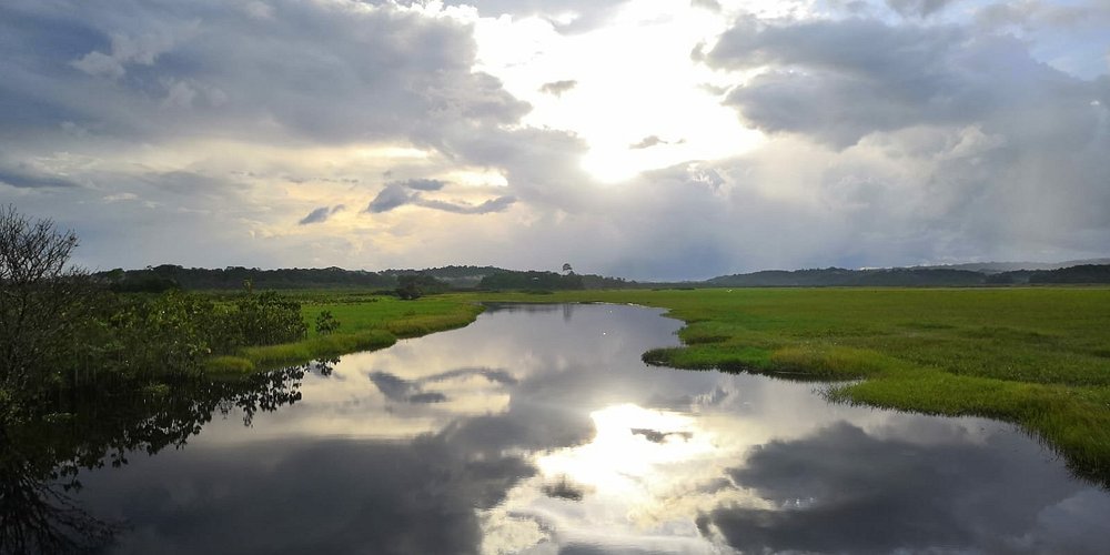 Tourisme à Cayenne 2023 Visiter Cayenne Guyane Française Tripadvisor 