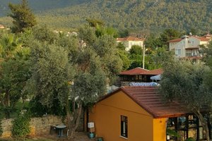 Oda ve Süit