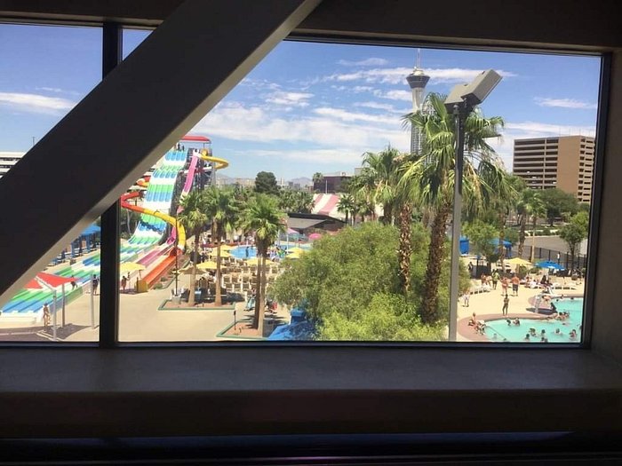 One of the small waterslides, looking across part of the pool area. -  Picture of Flamingo Las Vegas - Tripadvisor