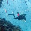 eyedive90