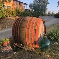 Authentic farm experience