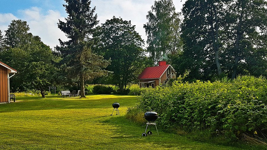 Utsikten från uteplatsen över tomten och ned mot vattnet..
