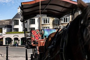 The Ross in Killarney, image may contain: Person, Bicycle, Tartan, Carriage