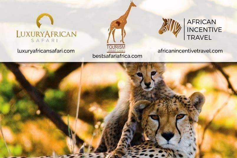 tourism that cares south africa