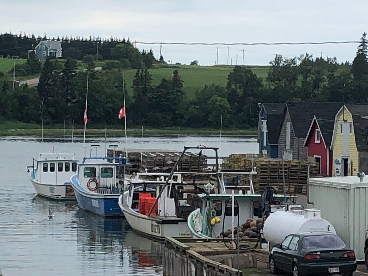 Your Kids are Sure to Love this Adventure - Deep Sea Fishing in North  Rustico! - Cavendish Beach