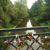Élővíz-csatorna