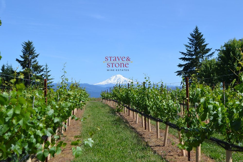 THE 10 BEST Hood River Wineries & Vineyards to Visit (Updated 2024)