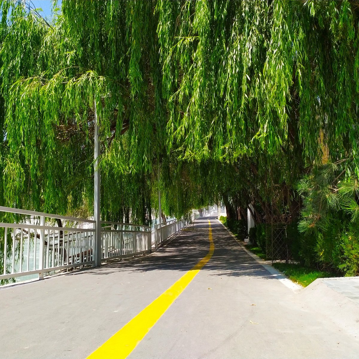 Парки ташкента. River Park Ташкент. ЦУМ парк Ташкент. Волгоградский парк Ташкент. ЦУМ парк Ташкент 2021 зеленые кабинки.