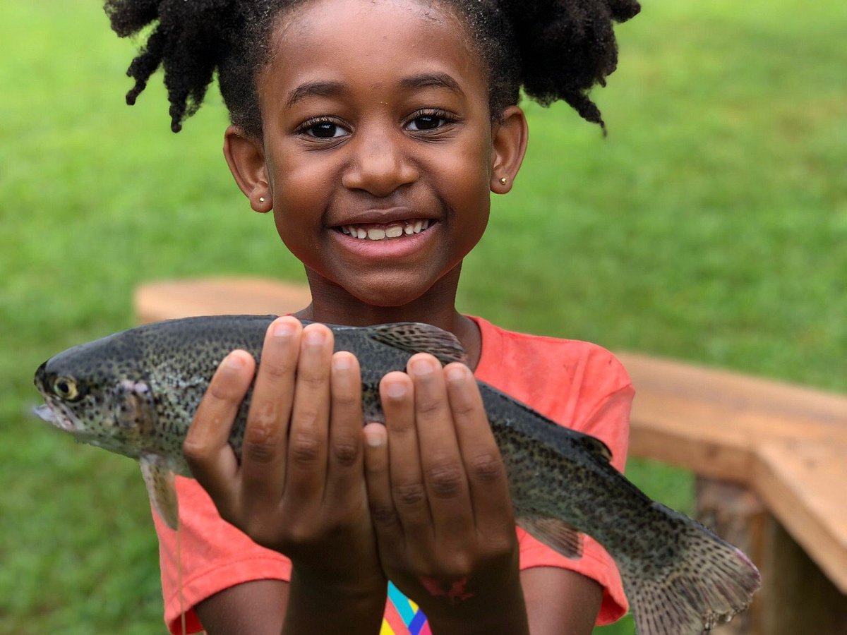 Trout Fishing, Andy's Trout Farm & Cabins