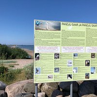 Astonishing bar on the Baltic sea to Pandju Islet, home of the birds. Please respect the rules and times for nesting period.
