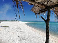 sable rose - Picture of Le Tikehau by Pearl Resorts - Tripadvisor