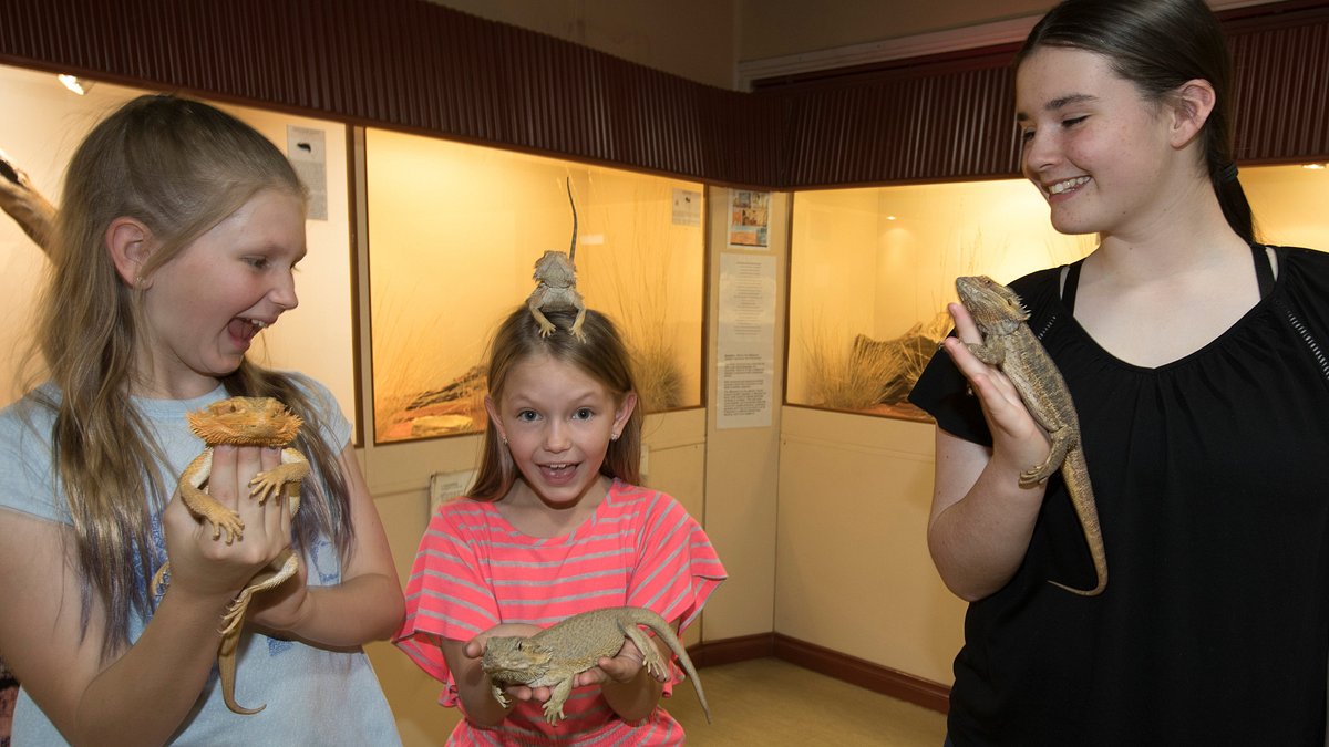 ALICE SPRINGS REPTILE CENTRE - All You Need to Know BEFORE You Go