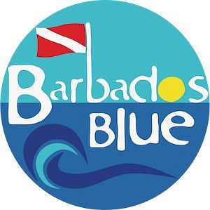 Barbados Blue Water Sports - All You Need to Know BEFORE You Go (2024)