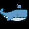 Bundaberg Whale Watching