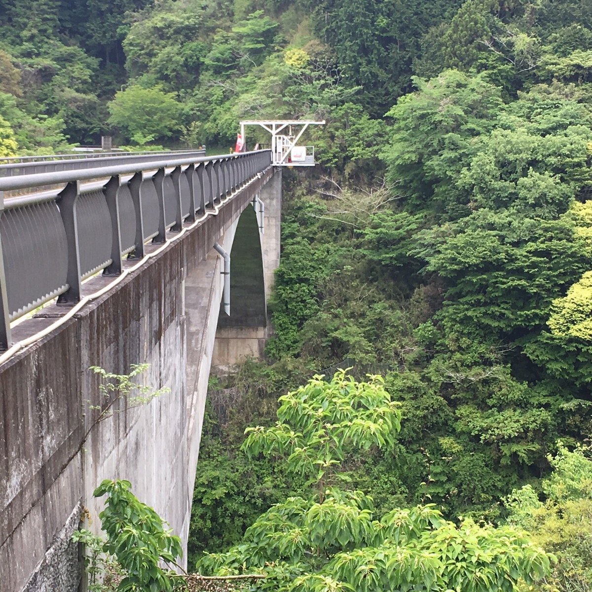 Bungy Japan Fuji Bungee Lohnt es sich? Aktuell für 2024 (Mit fotos)