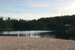 Utsikt från rummet