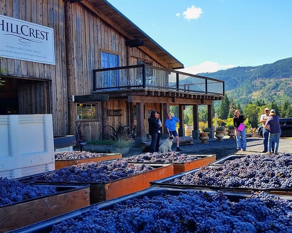 THE 15 BEST Things to Do in Roseburg 2024 (with Photos) Tripadvisor