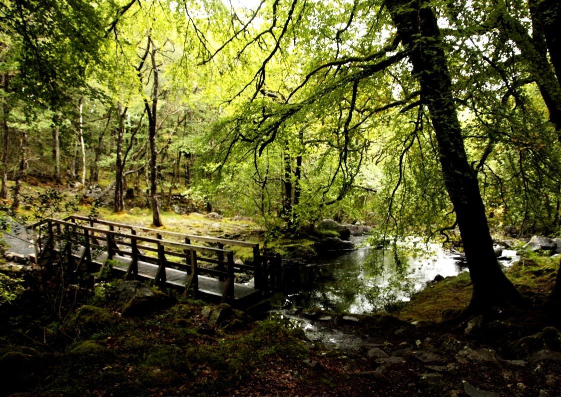 Rhaeadr Ddu Waterfalls (Ganllwyd): All You Need to Know