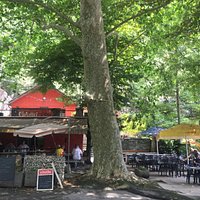 Schöner kühler Garten