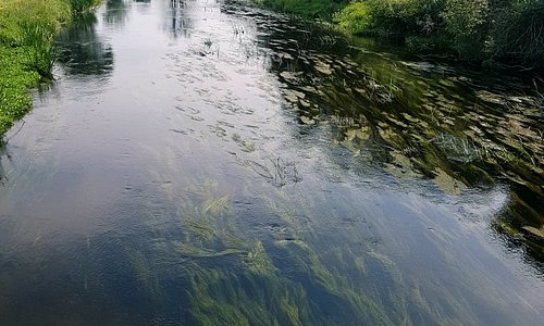 Spływy Kajakowe Regą