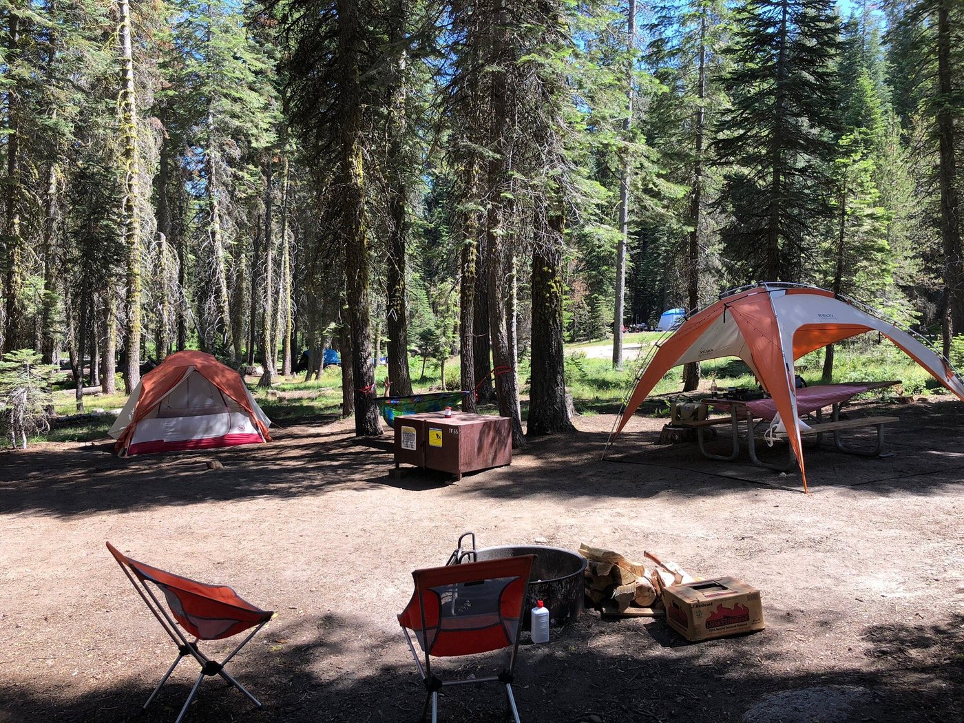 TAMARACK FLAT CAMPGROUND - Reviews (Yosemite National Park, CA)