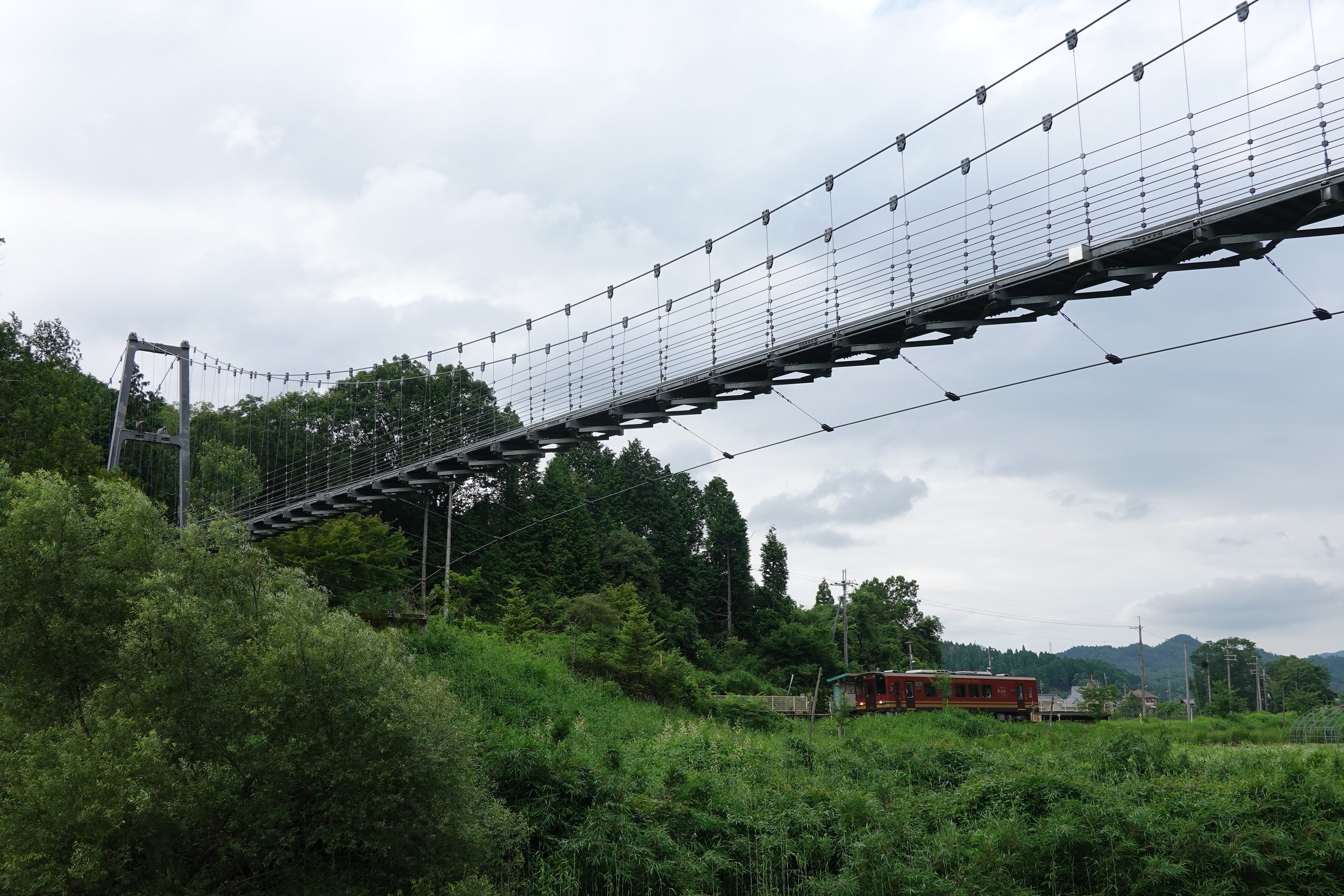 2025年 保良の宮橋 - 出発前に知っておくべきことすべて