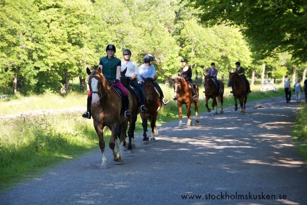 Stockholm By Horse Estocolmo 2022 Lo Que Se Debe Saber Antes De   Caption 