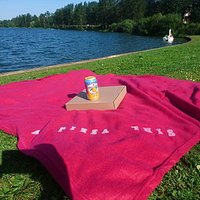 Borrow a picnic rug from us