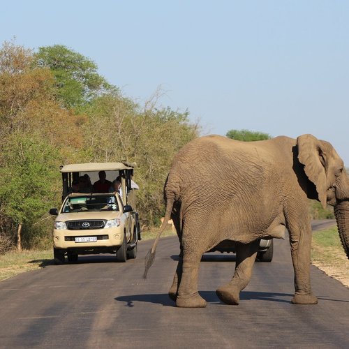 Hazyview 2021: Best of Hazyview, South Africa Tourism - Tripadvisor