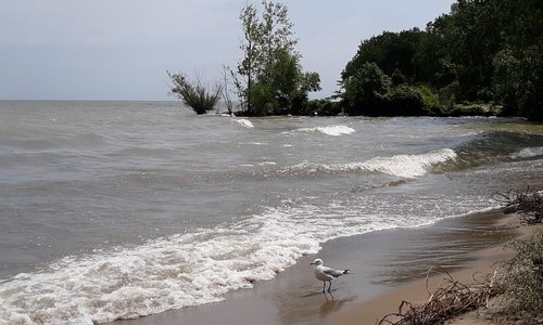 Magee Marsh Wildlife Area