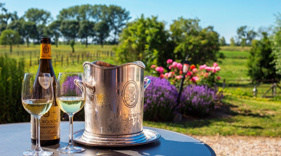 Wijntje op het terras